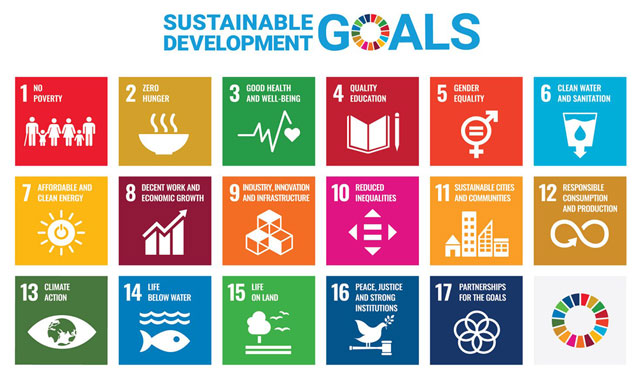 What are Sustainable Development Goals (SDGs)?